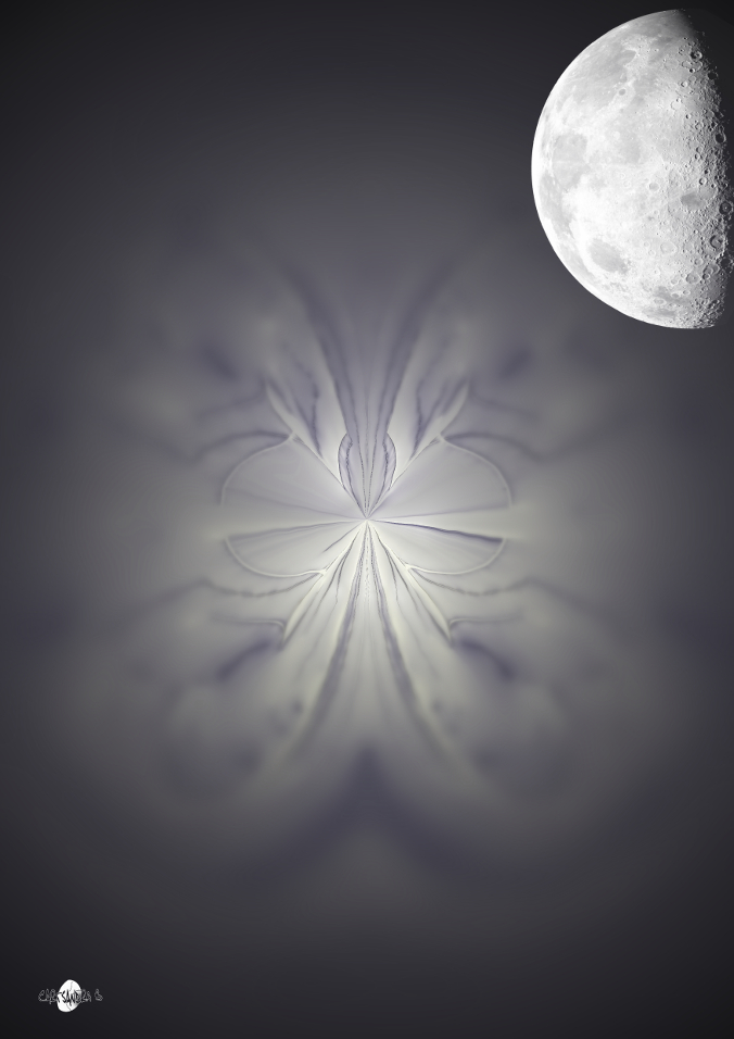Cartsandra B Peinture numérique : Ciel de lune - 